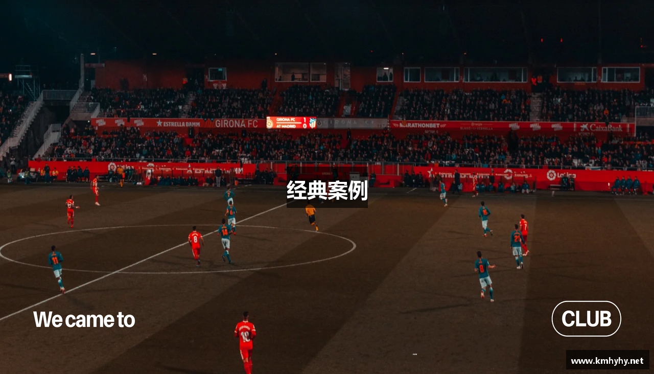 经典案例